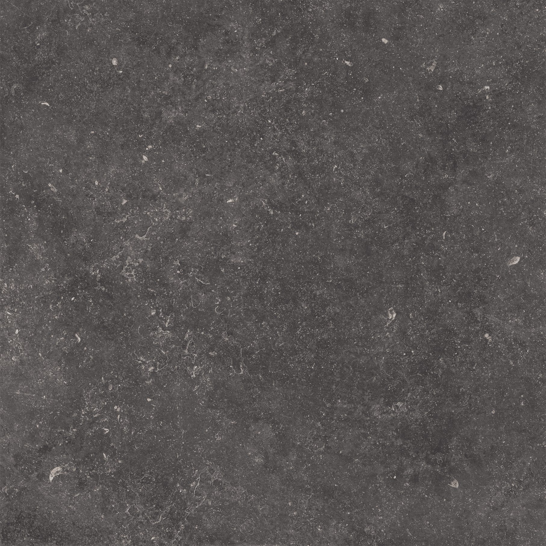 Product 8053872043240 image 1