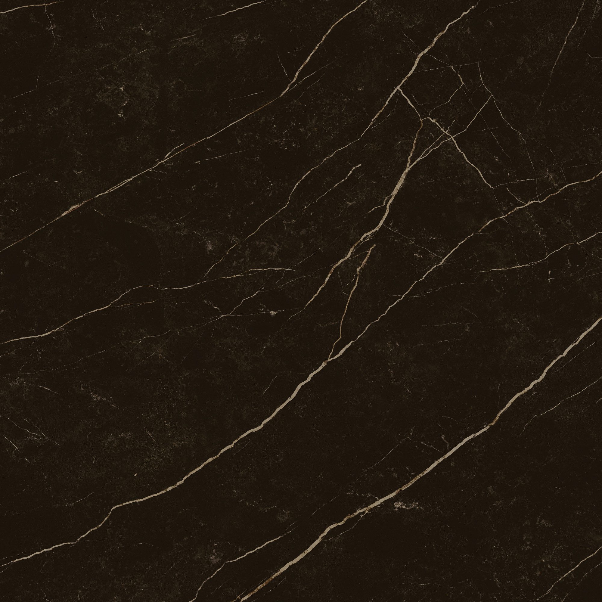 Product 8429991617646 image 6