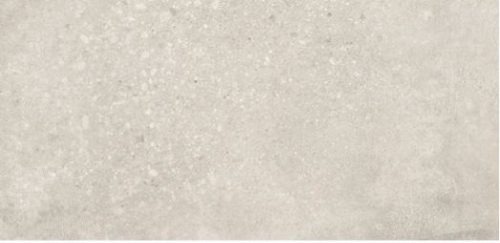 Product 8434459151808 image 1