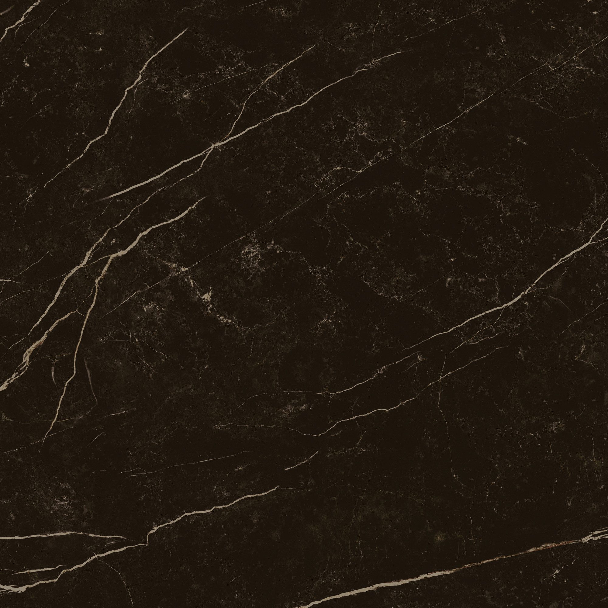 Product 8429991617646 image 10