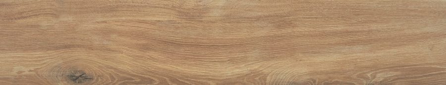 Product 6153501216259 image 1