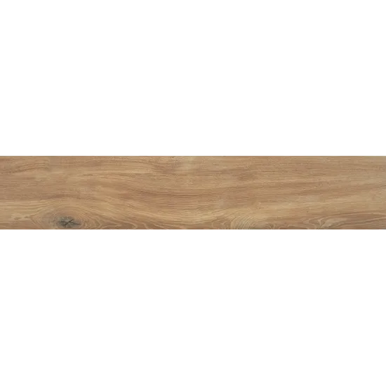Product 6153501216259 image 1