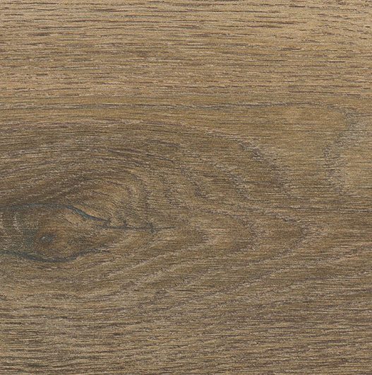 Product 8436550089059 image 2