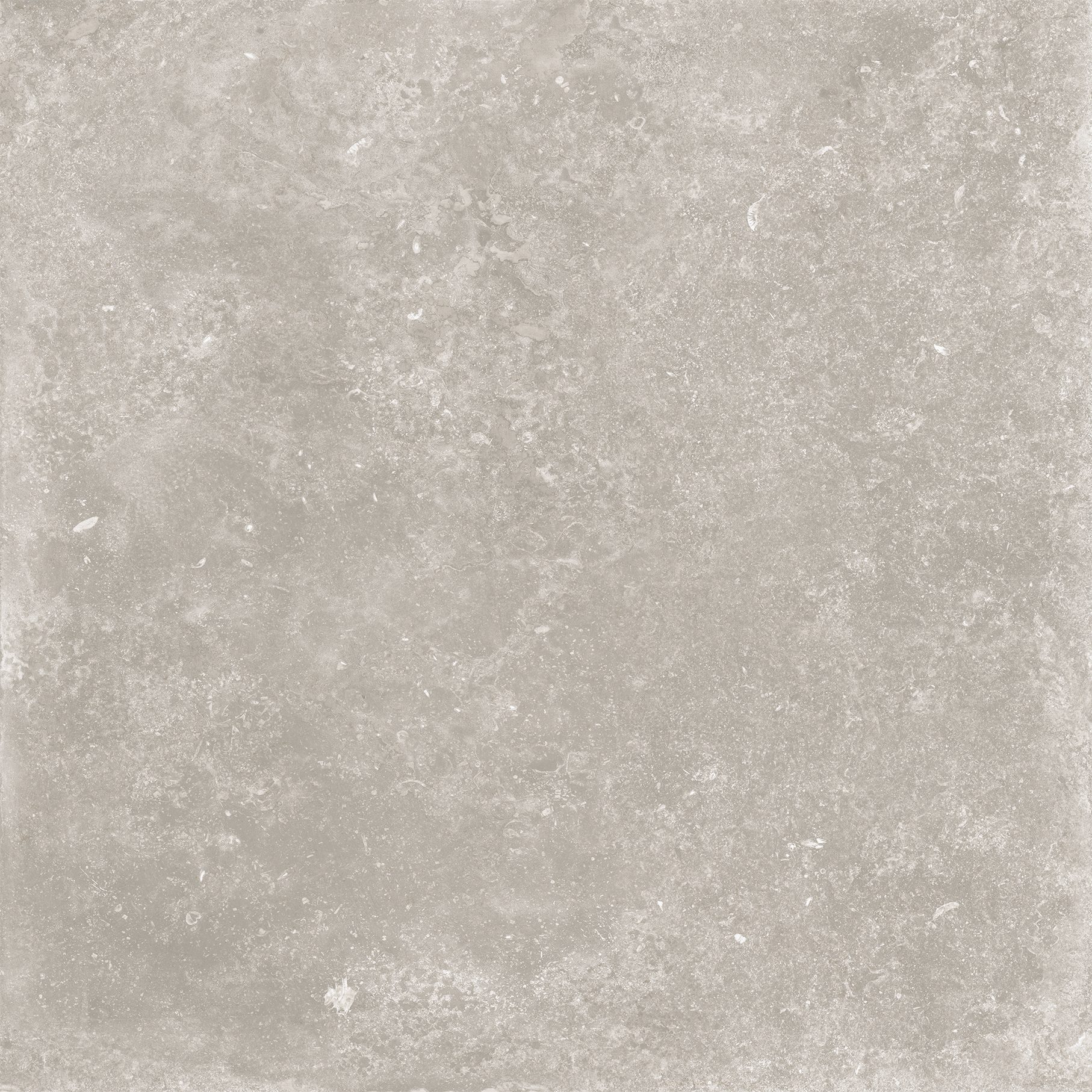 Product 8053872043295 image 1