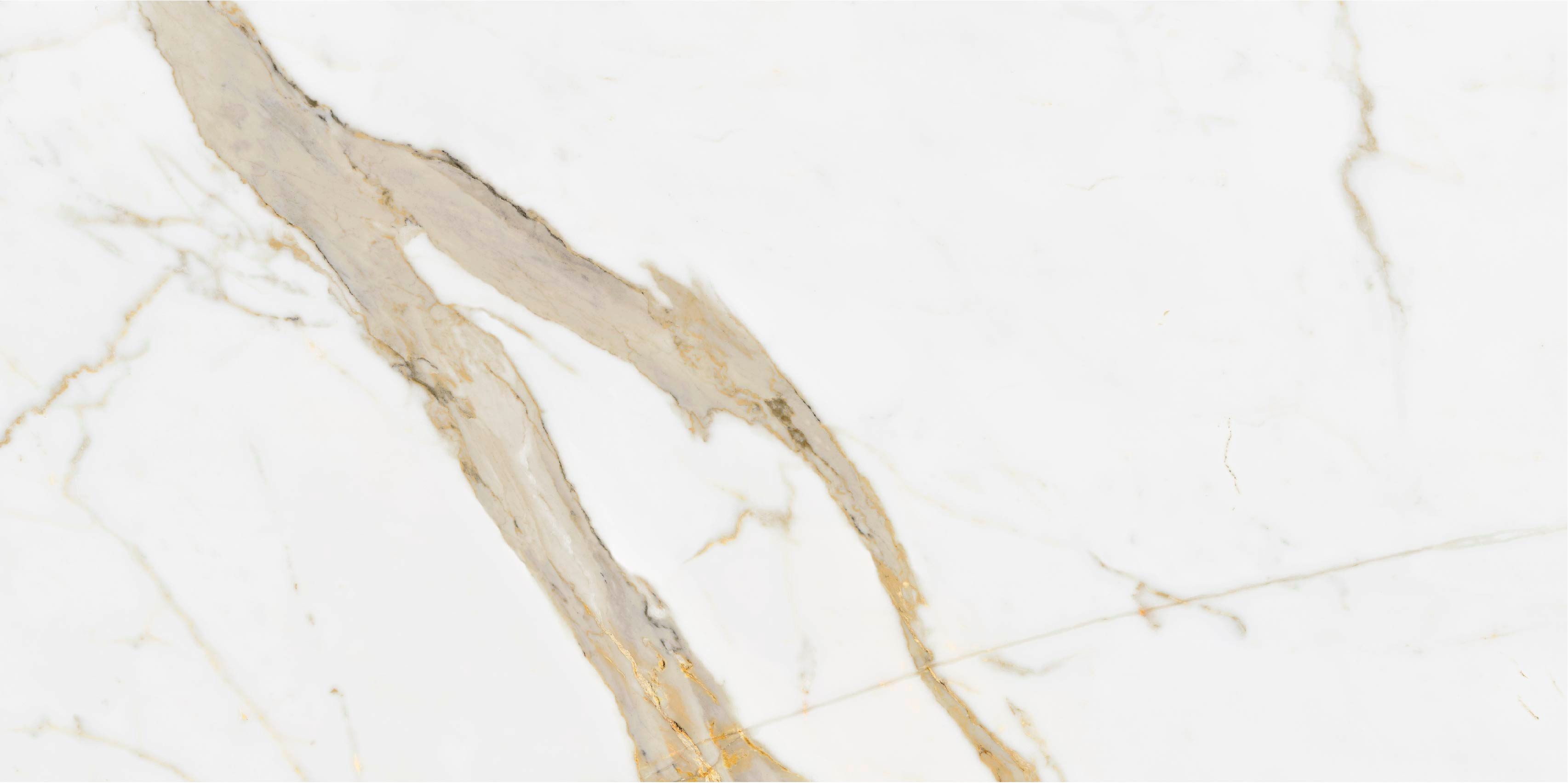 Product 8698541075186 image 7