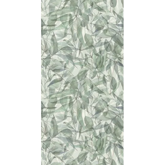 Product 8011634607857 image 2