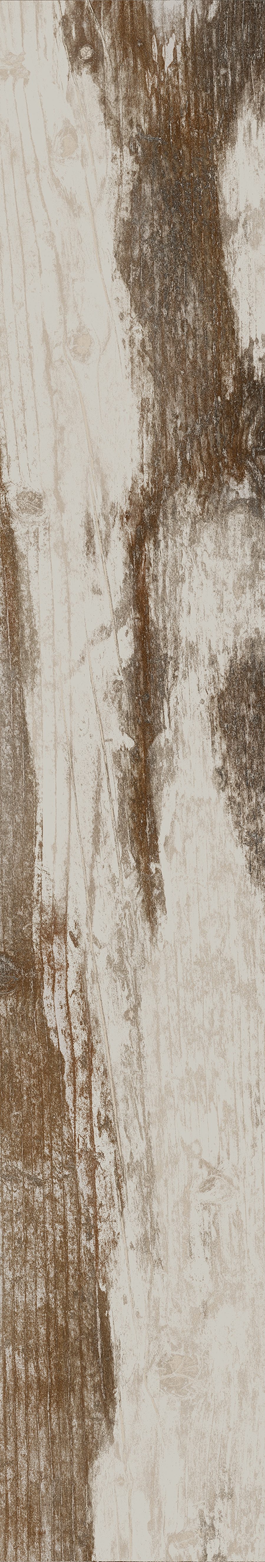 Product 8698541006999 image 20