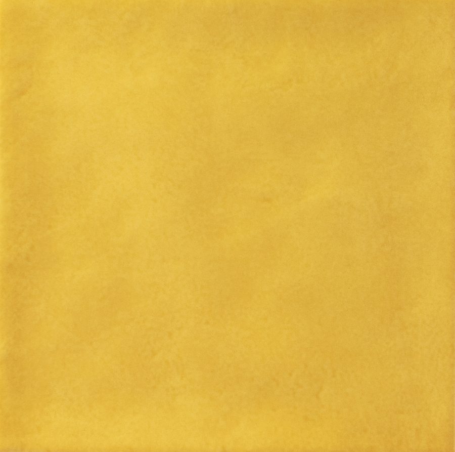 Product 6153509240249 image 2
