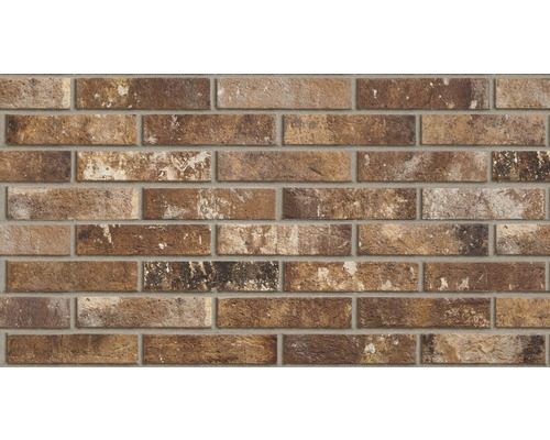 Product 8021122905686 image 1