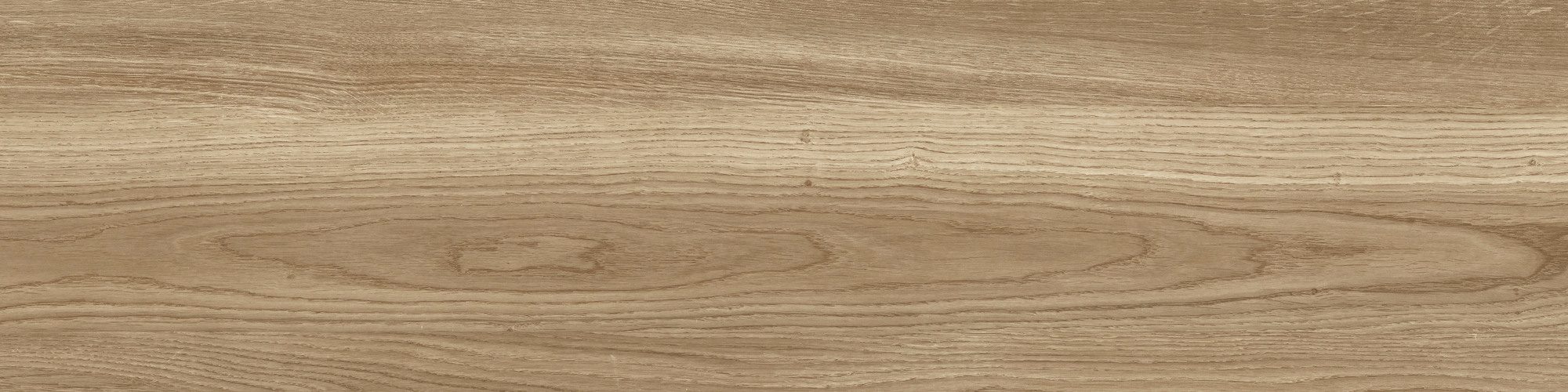 Product 8429991684242 image 8