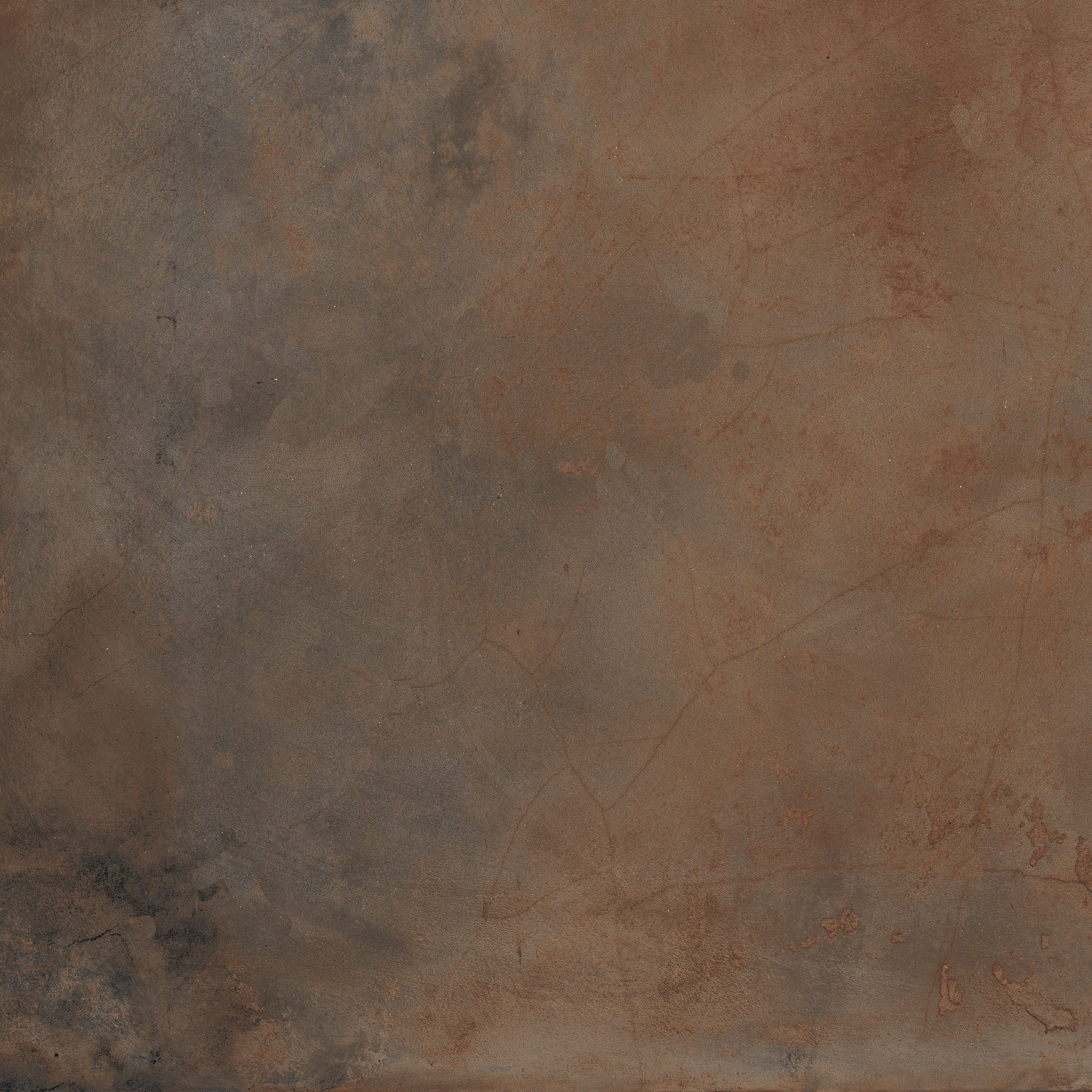 Product 8434459197691 image 7
