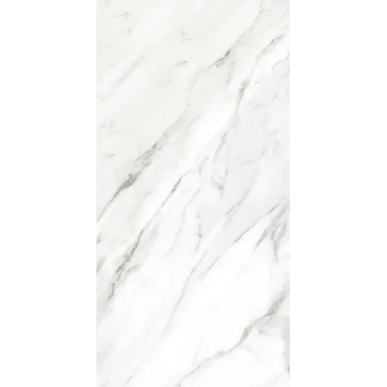 Product 8011634598339 image 5