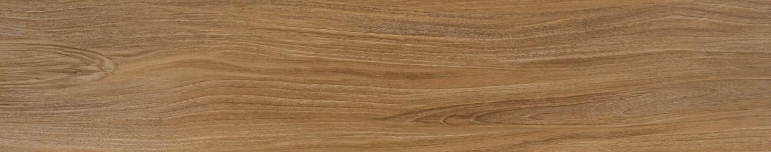 Product 6153501012097 image 6