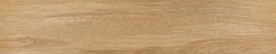 Product 6153501236226 image 1