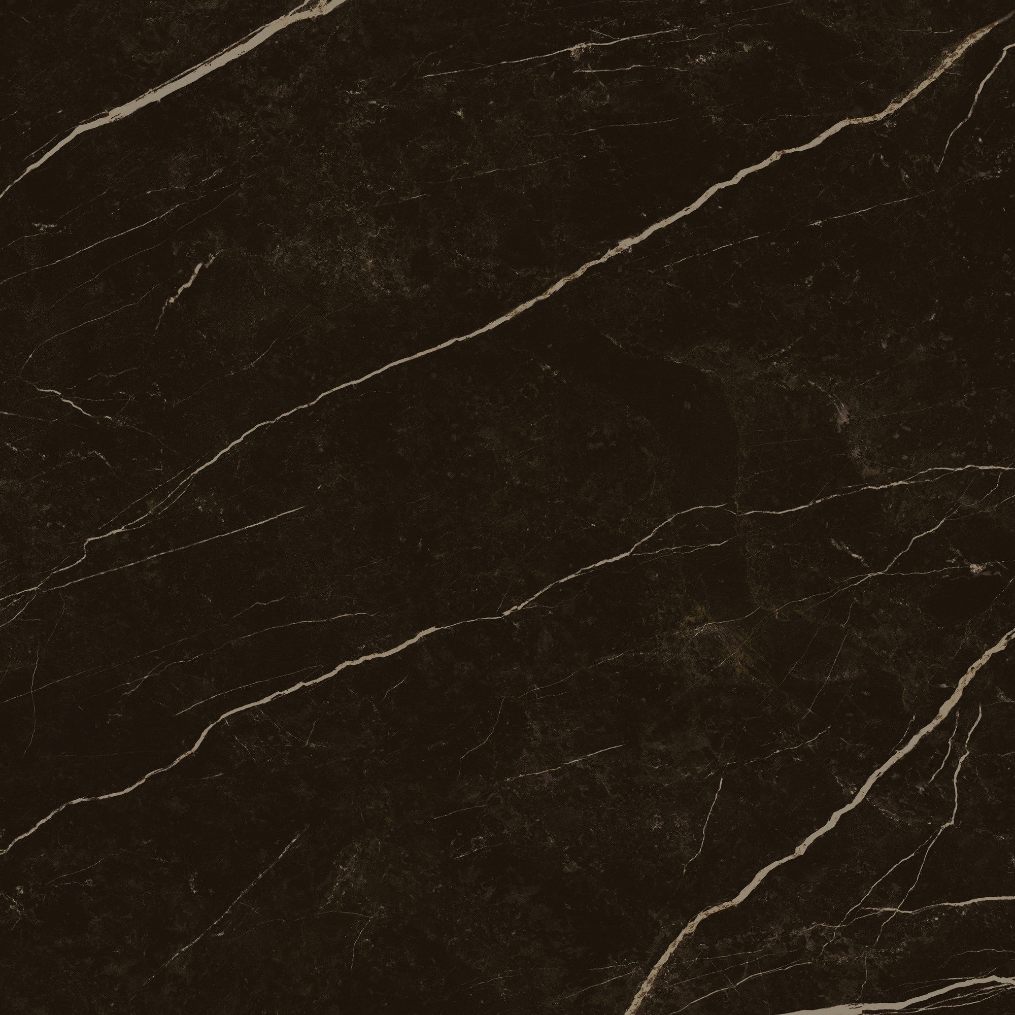 Product 8429991617646 image 5