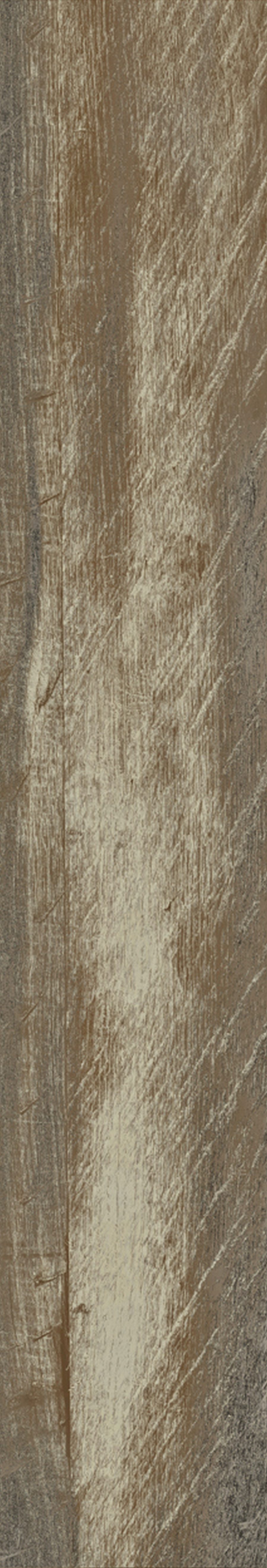 Product 8698541006999 image 8