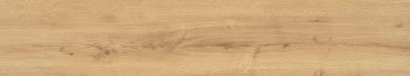Product 6153503069082 image 1