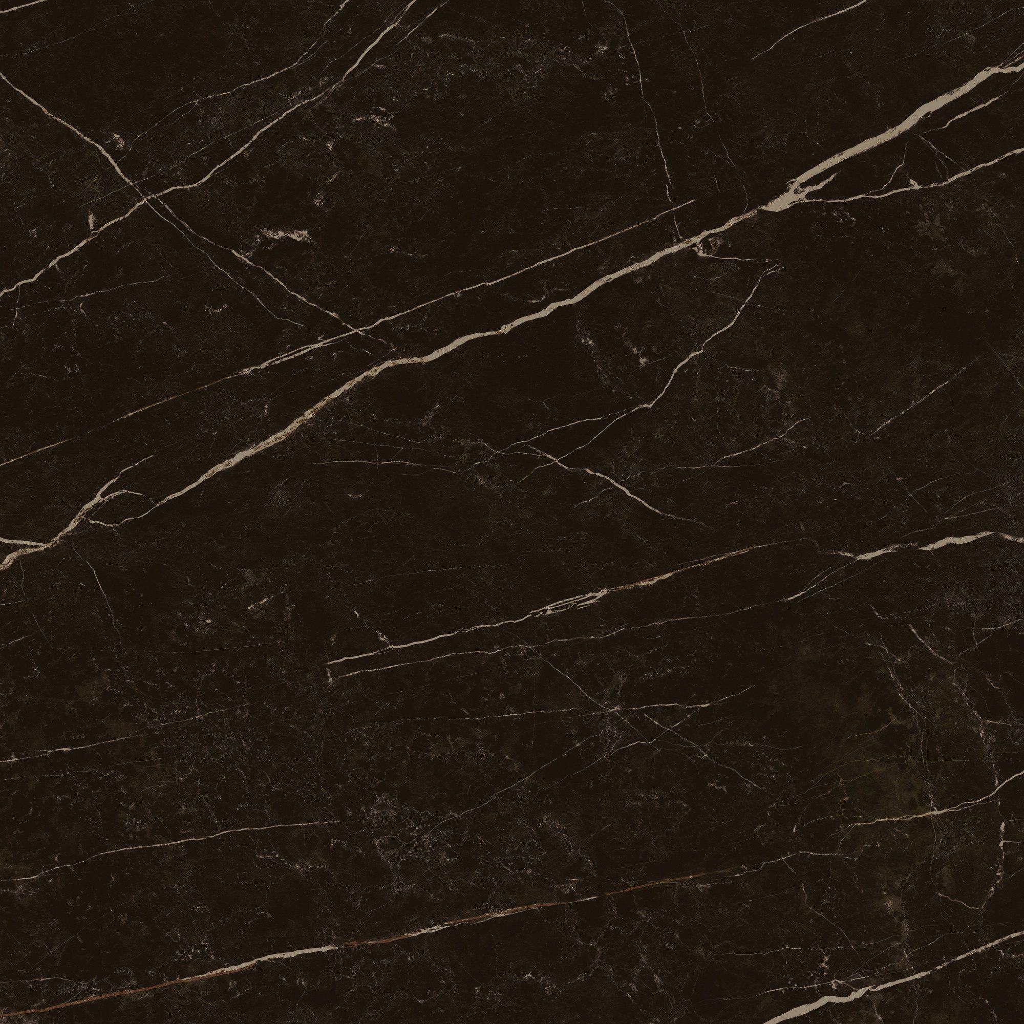 Product 8429991617646 image 8