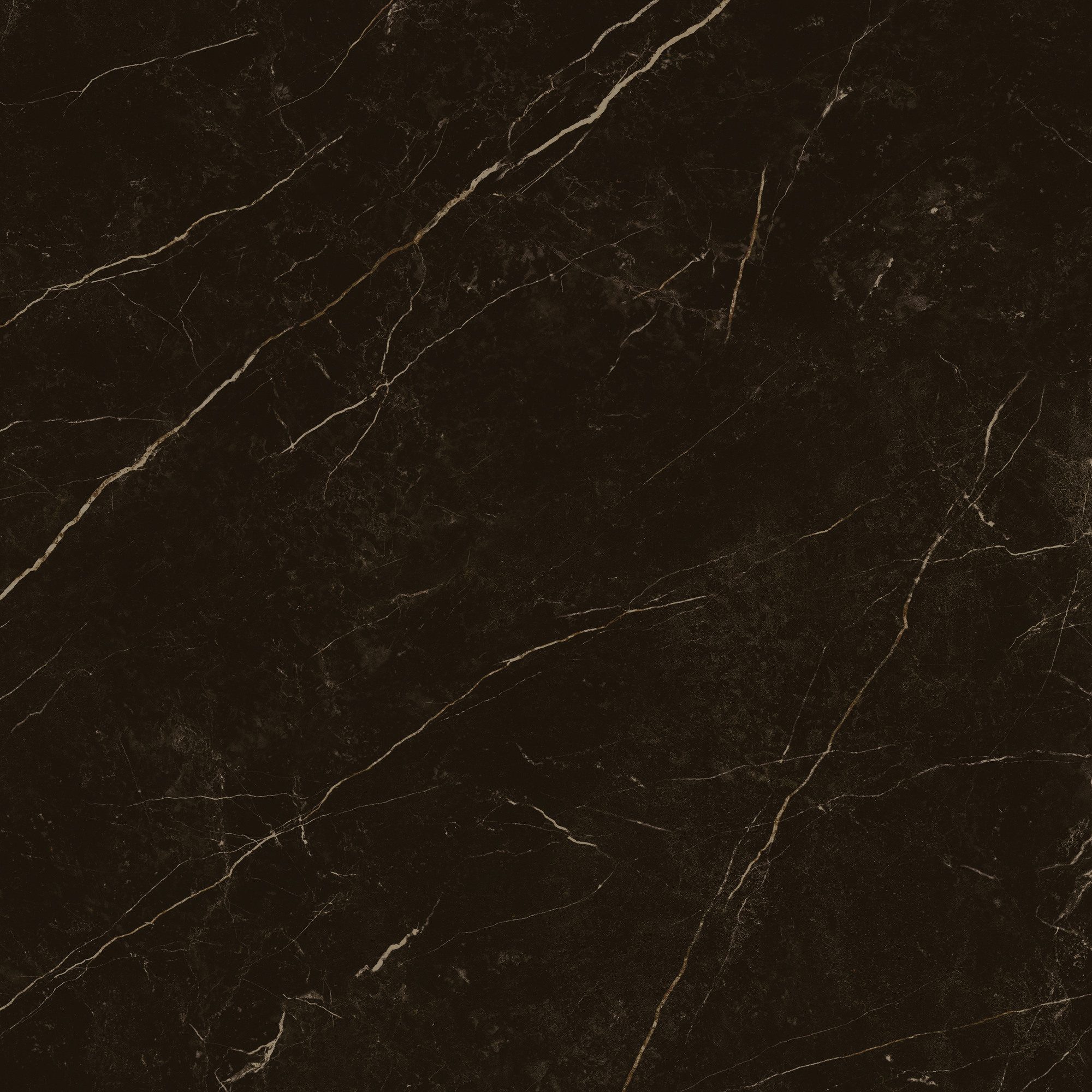 Product 8429991617646 image 11