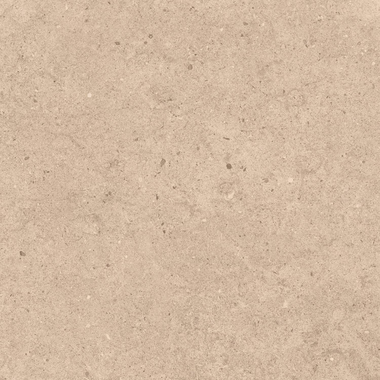Product 6153509616617 image 3