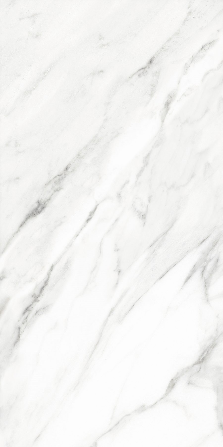 Product 8011634598339 image 6