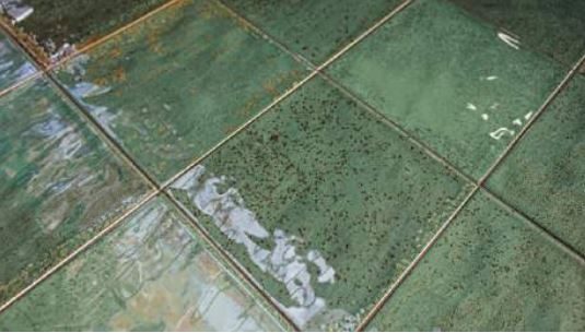 Product 8435259954927 image 2