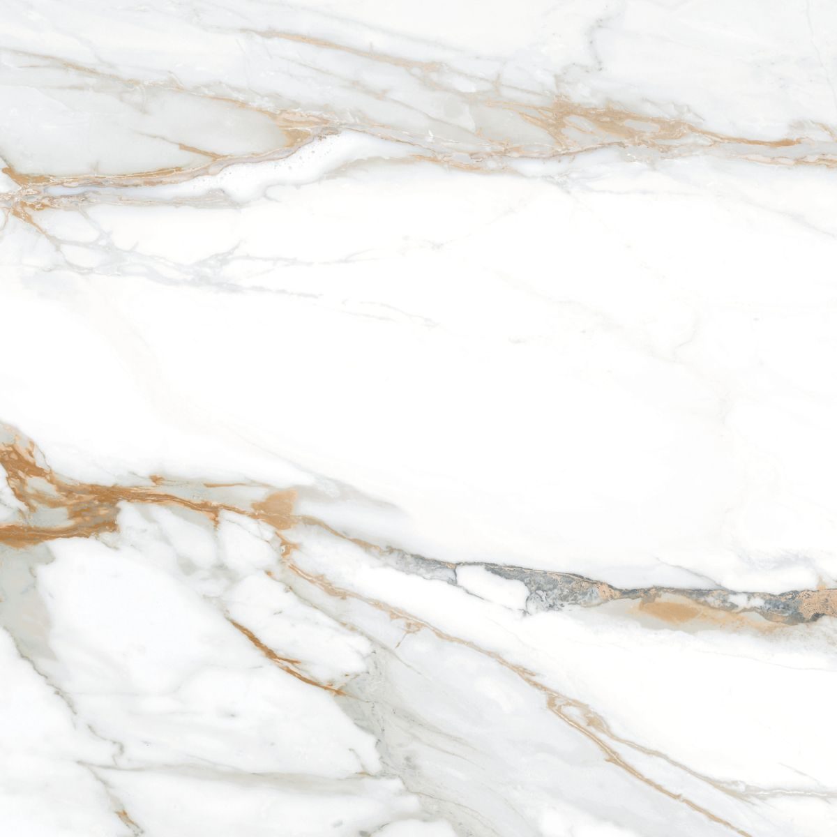 Product 8429991163211 image 1