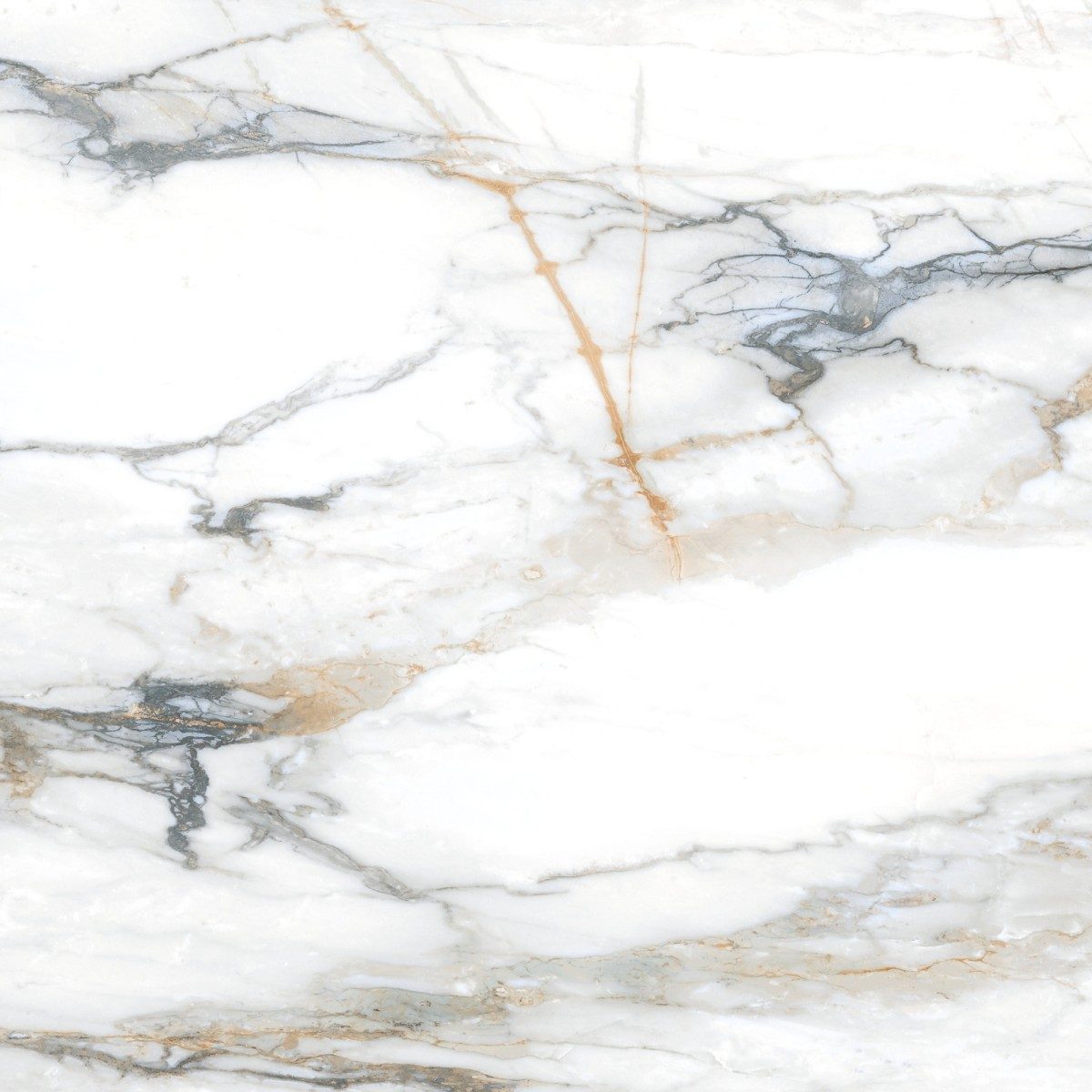 Product 8429991163211 image 4