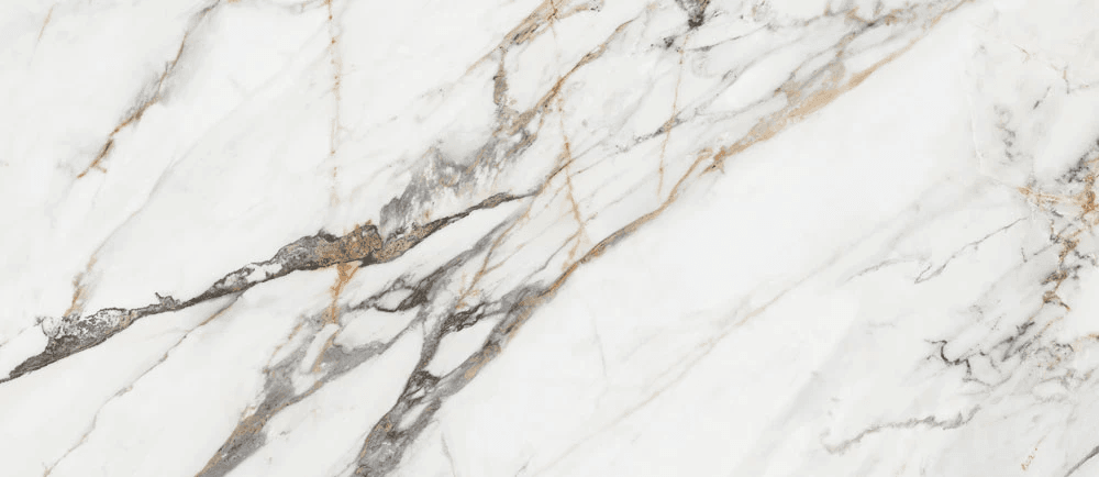 Product 6153502699662 image 1