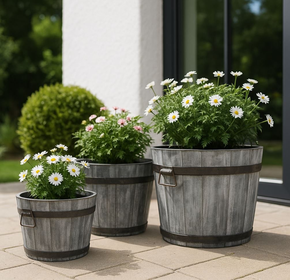 Product 8719365014288 image 2