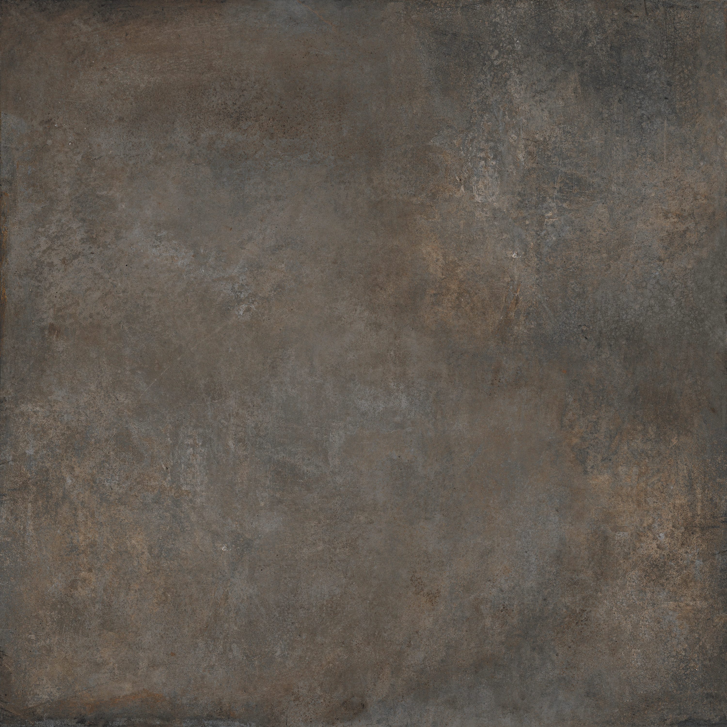 Product 8434459175187 image 4