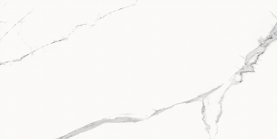 Product 6153500172143 image 1