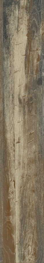 Product 8698541006999 image 4