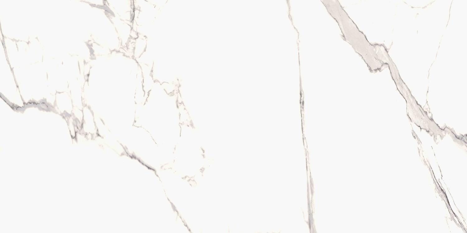 Product 6153500169198 image 1