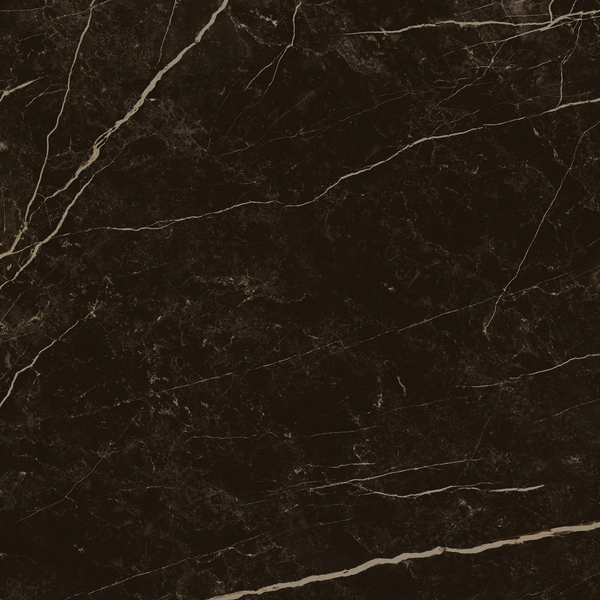 Product 8429991617646 image 9