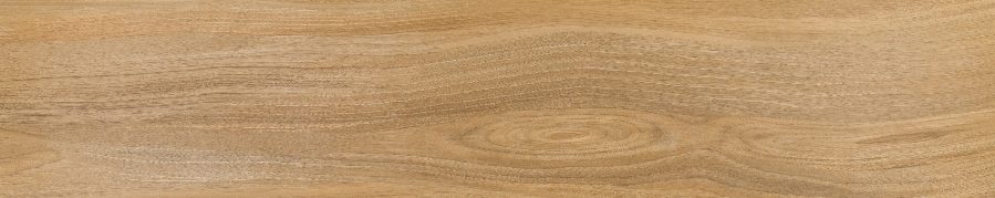 Product 6153501236226 image 3