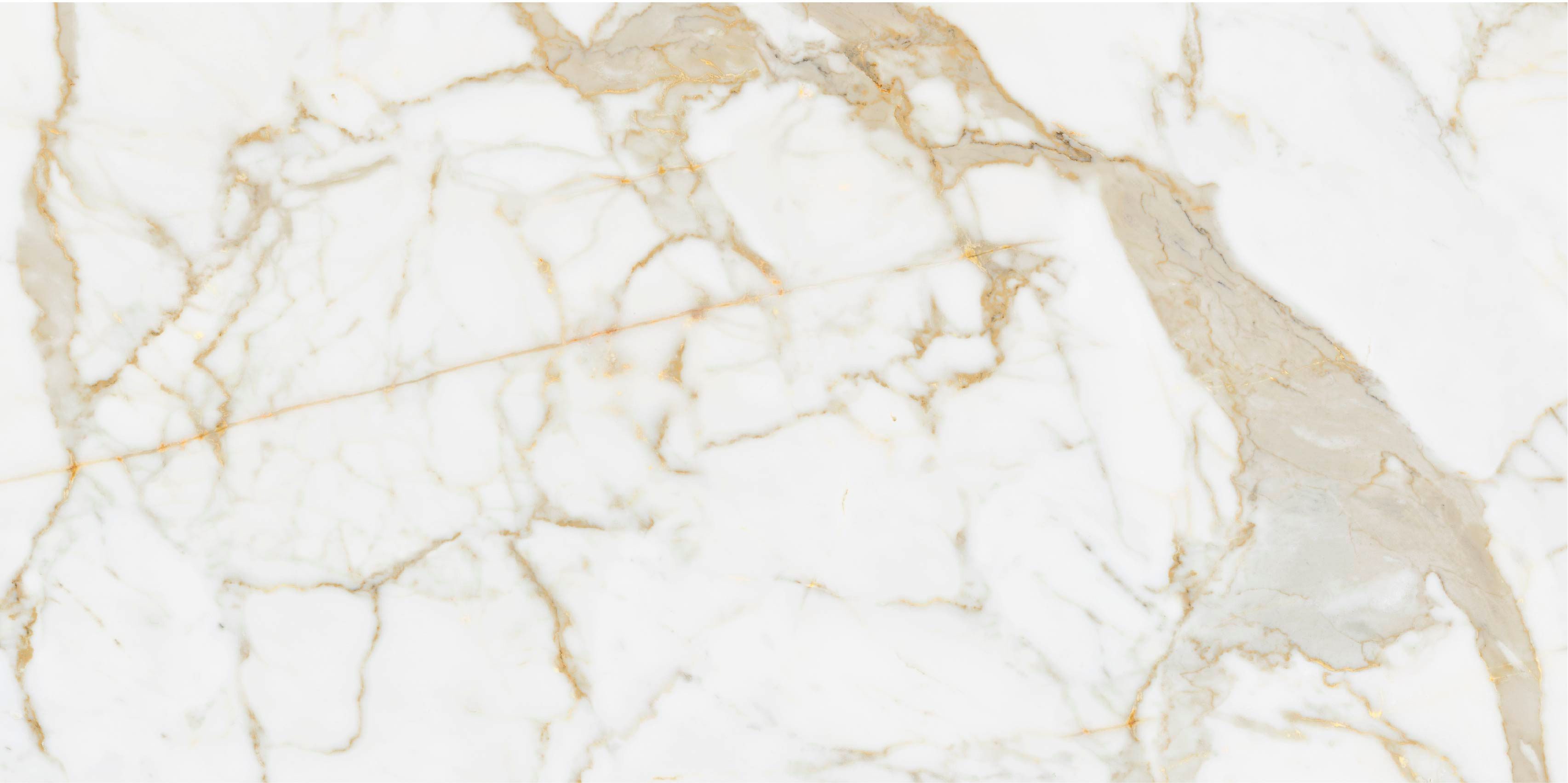 Product 8698541075186 image 9