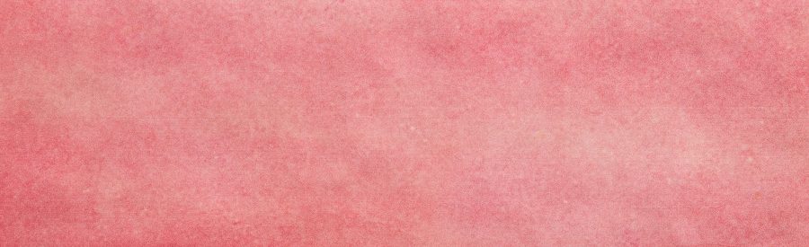 Product 6153506231226 image 2