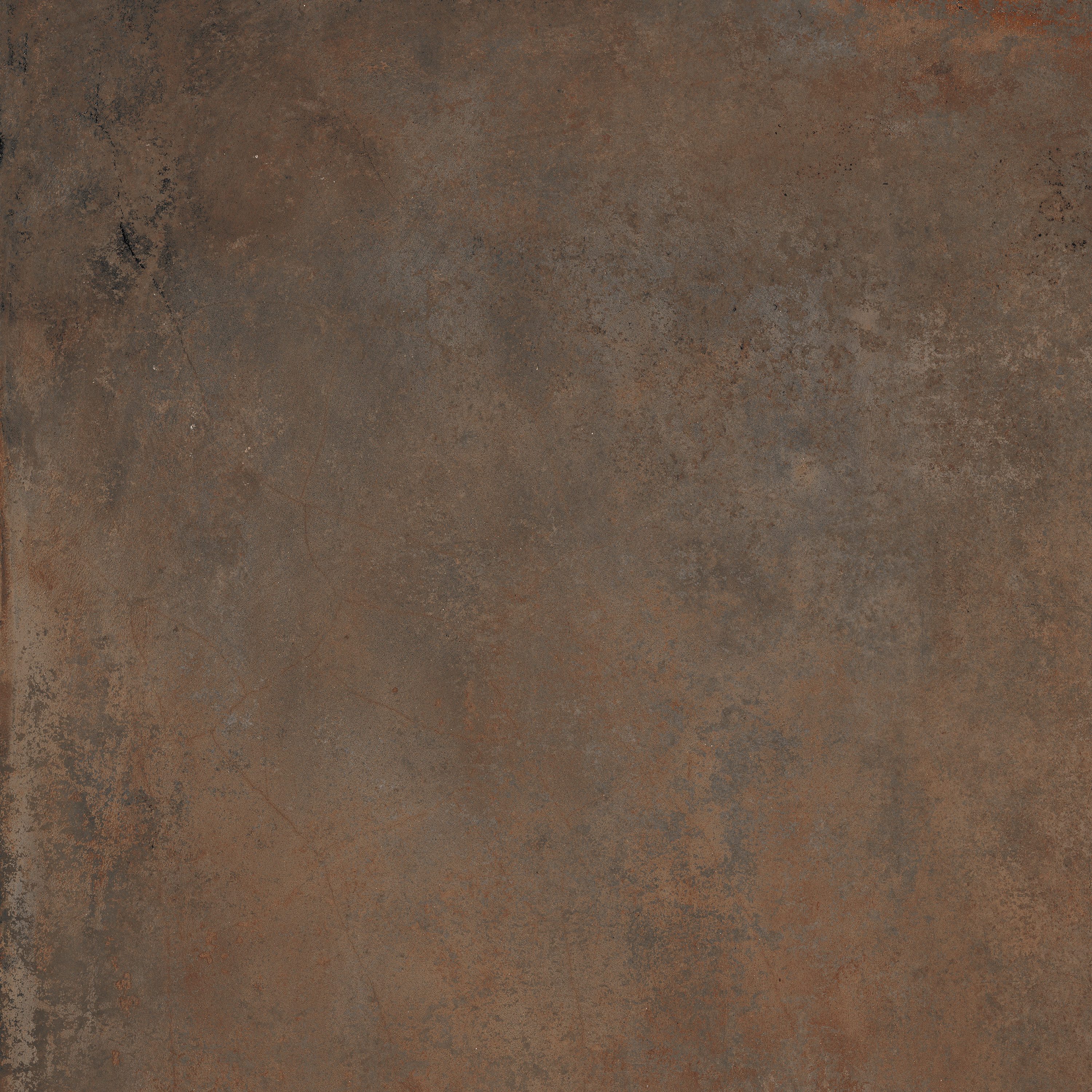 Product 8434459197691 image 3