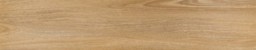 Product 6153501236226 image 2