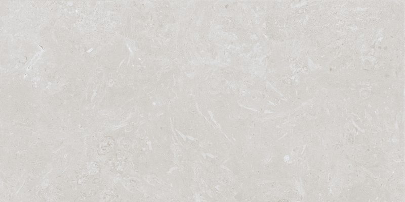 Product 6153500599506 image 1