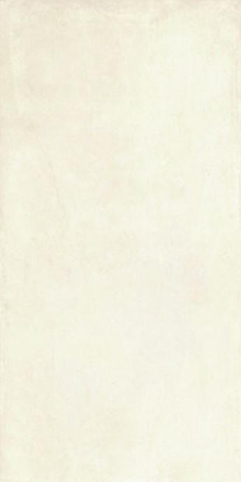Product 8018925852088 image 2