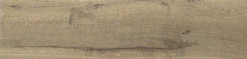 Product 6153502273251 image 1