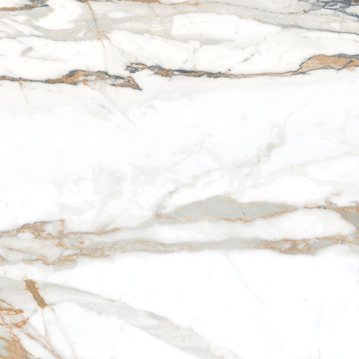 Product 8429991163211 image 2
