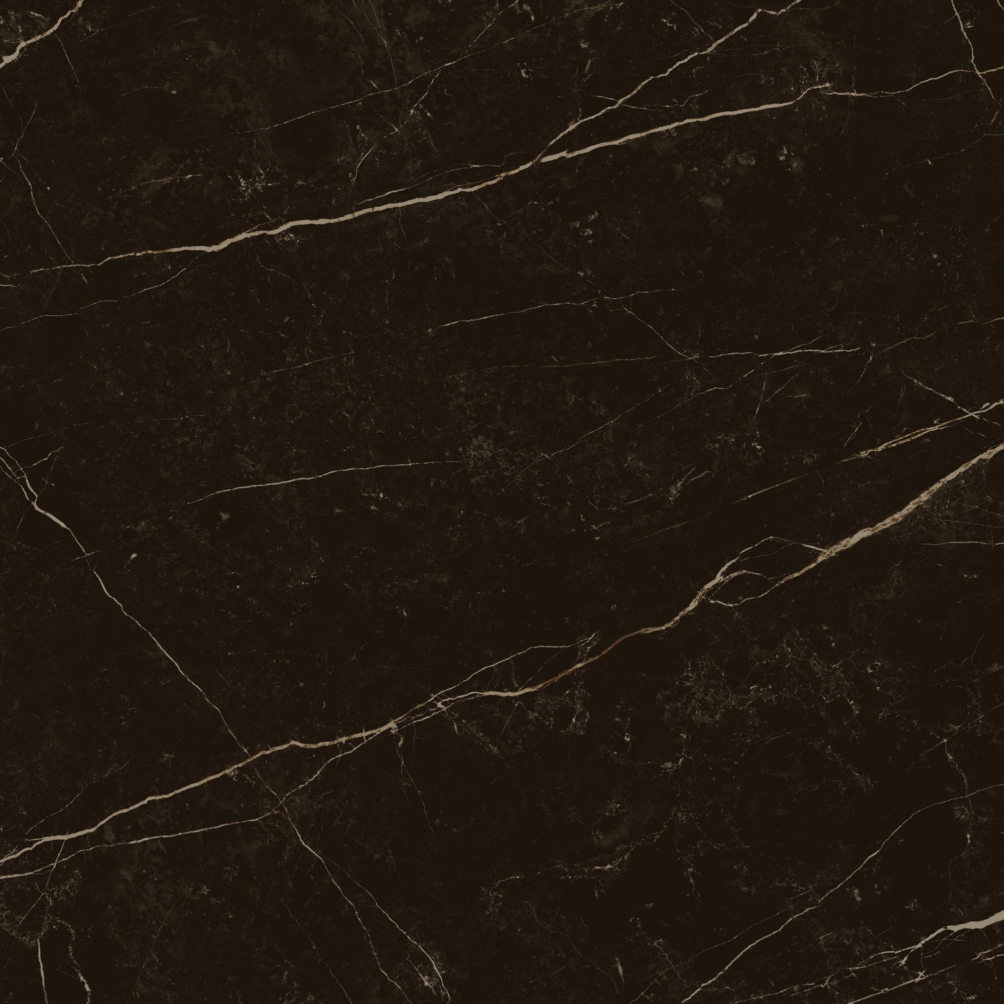 Product 8429991617646 image 7