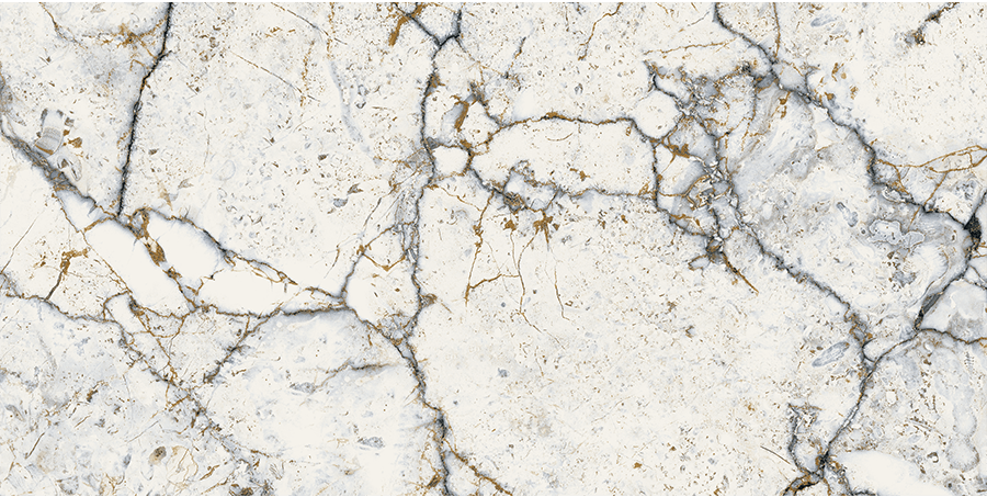 Product 6153500183149 image 4