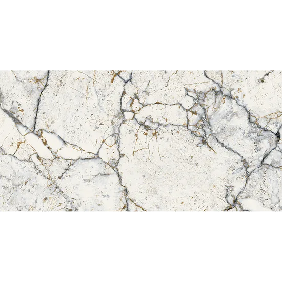 Product 6153500183149 image 4