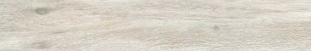 Product 6153500382313 image 1
