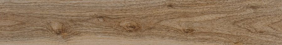 Product 6153500758774 image 1