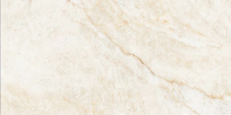 Product 6153516234704 image 2